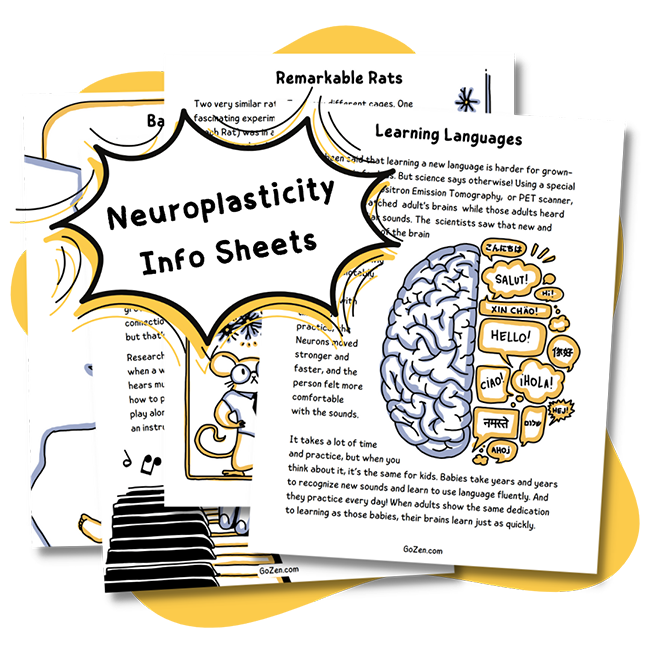 gomindset_neuroplasticity